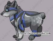 Pet
