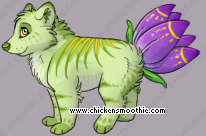 Pet