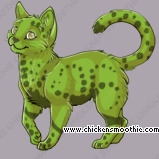 Pet