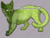 Pet
