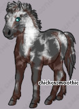 Pet