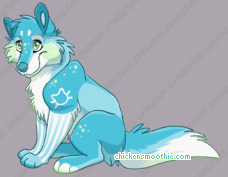 Pet