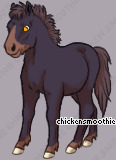 Pet
