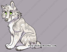 Pet