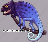 Pet