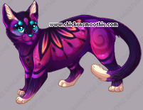 Pet