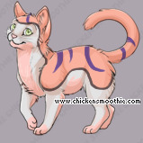 Pet
