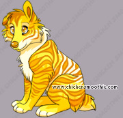Pet