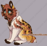 Pet
