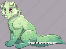 Pet
