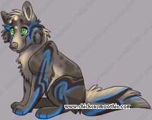 Pet