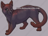 Pet