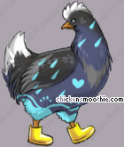 Pet