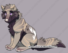 Pet