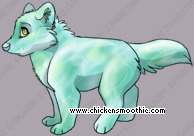Pet