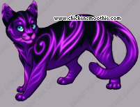 Pet