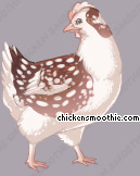 Pet
