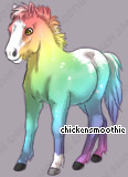 Pet