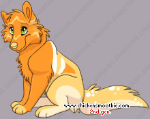 Pet