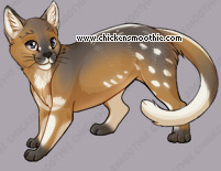 Pet