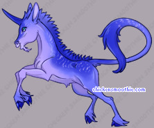 Pet