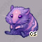 Pet