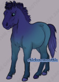 Pet