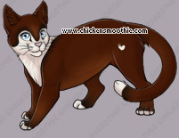 Pet