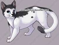 Pet