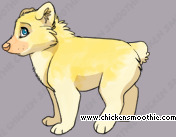 Pet