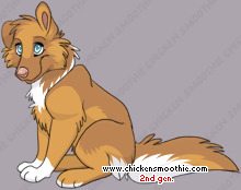 Pet