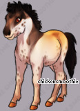 Pet