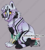 Pet