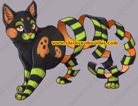 Pet