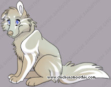 Pet