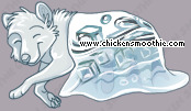 Pet