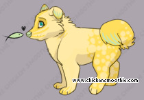 Pet