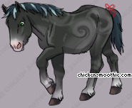 Pet
