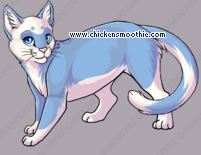 Pet
