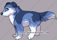 Pet