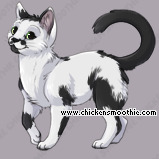 Pet