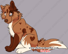 Pet