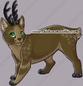 Pet