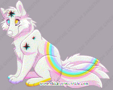 Pet