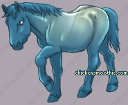 Pet