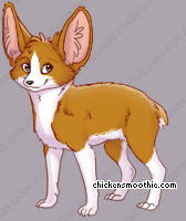 Pet