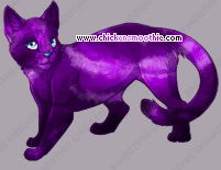 Pet