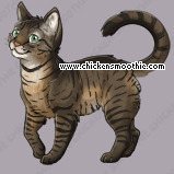 Pet
