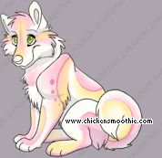 Pet