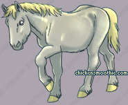 Pet